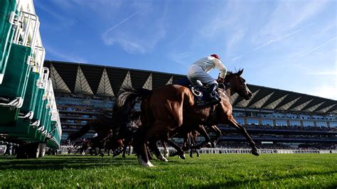 ggs horse tips|Today's Horse Racing Tips .